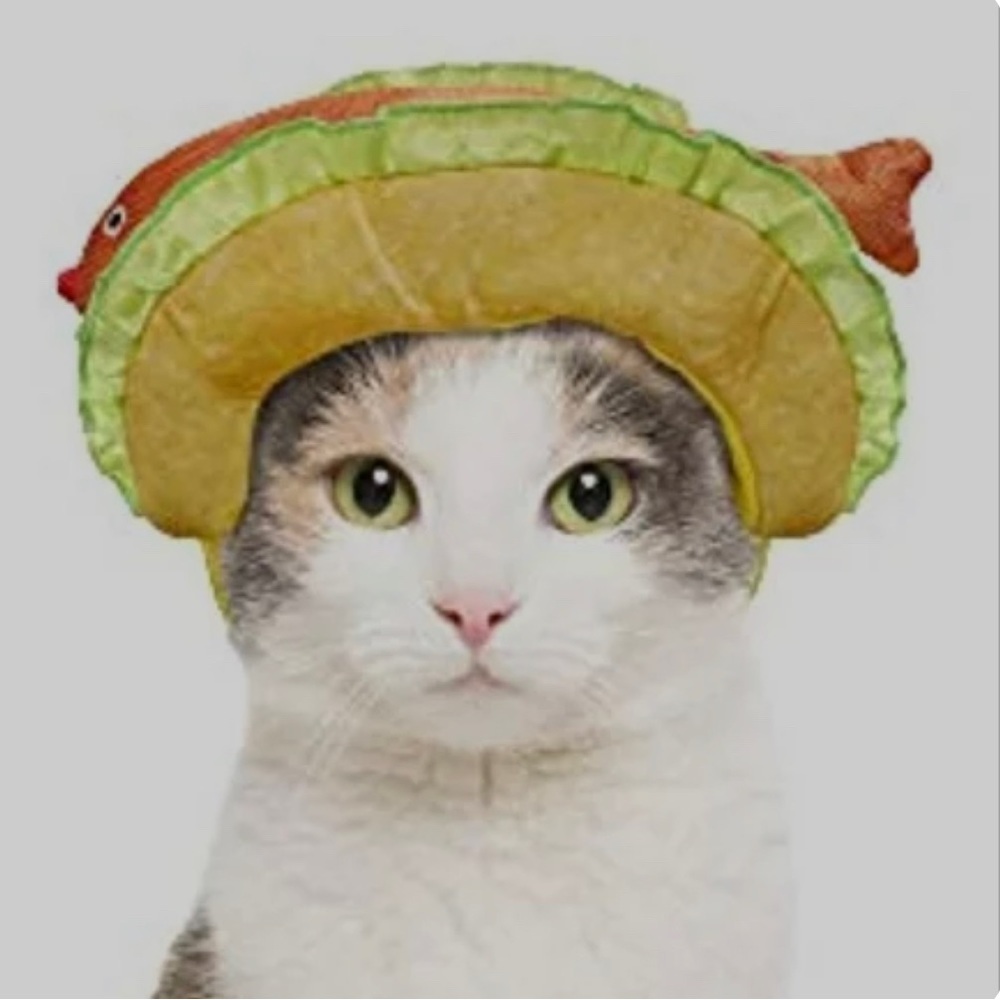 Hyde & Eek Cat Fish Taco Hat